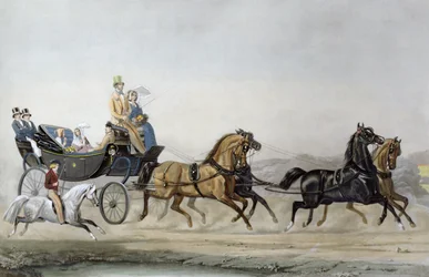 The Walk, vyryl R. Woodman